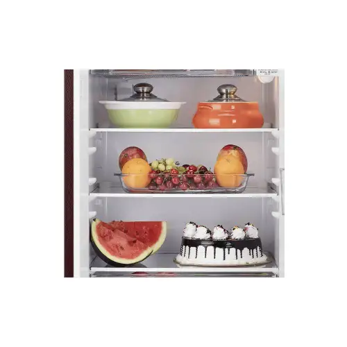 LG 201 Litres 5 Star Direct Cool Single Door Refrigerator with Antibacterial Gasket (Scarlet Euphoria) 9 LG 201 Litres 5 Star Direct Cool Single Door Refrigerator with Antibacterial Gasket (Scarlet Euphoria)