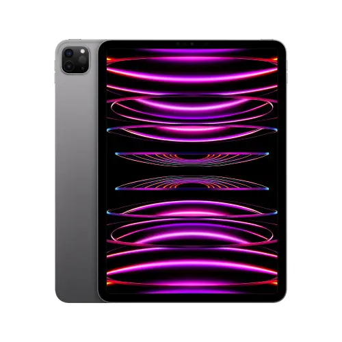 Apple iPad Pro 11 inch M2 (4th Generation) MNYE3HN/A 256 GB Wi-Fi + Cellular (Space Grey)