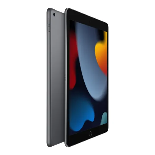 Apple iPad 9th Generation Wi-Fi (10.2 Inch, 64GB, Space Grey) MK2K3HN/A